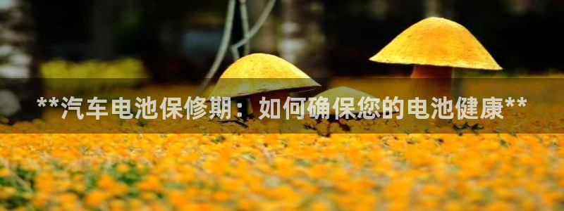 优发国际平台u8是什么软件