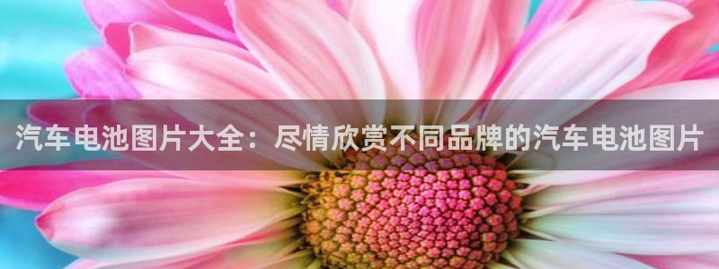 优发国际官网手机版入口