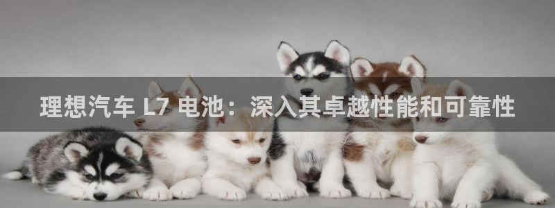 优发国际首页首页登录：理想汽车 L7 电池：深入其卓越性能和可靠性