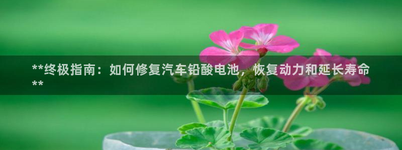 优发国际安卓版下载安装最新版