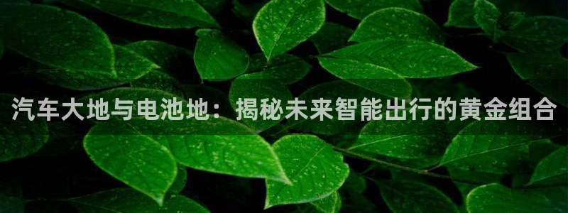 优发国际的网站是