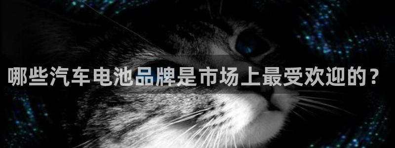 优发国际是什么