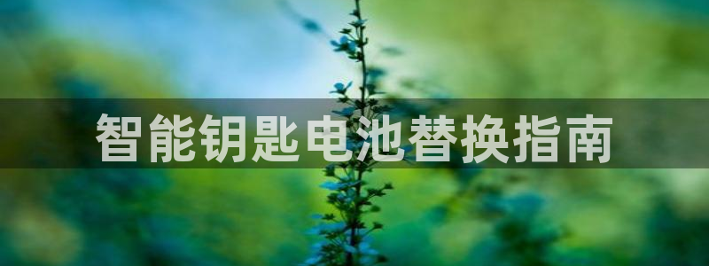 优发国际网官网：智能钥匙电池替换指南