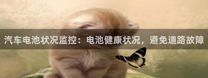 优发国际平台u8是什么公司：汽车电池状况监控：电池健康状况，避免道路故障