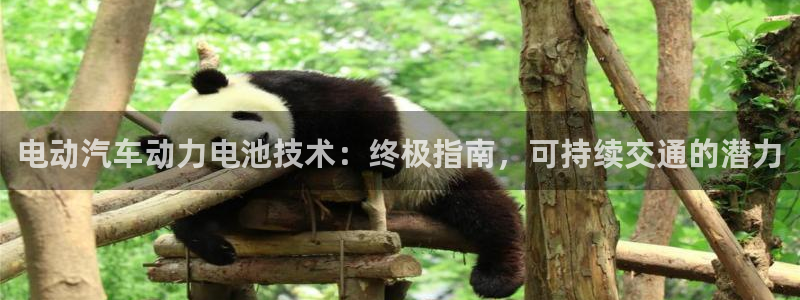 优发国际一触即发登陆