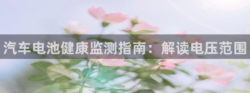 优发国际平台18岁能做吗