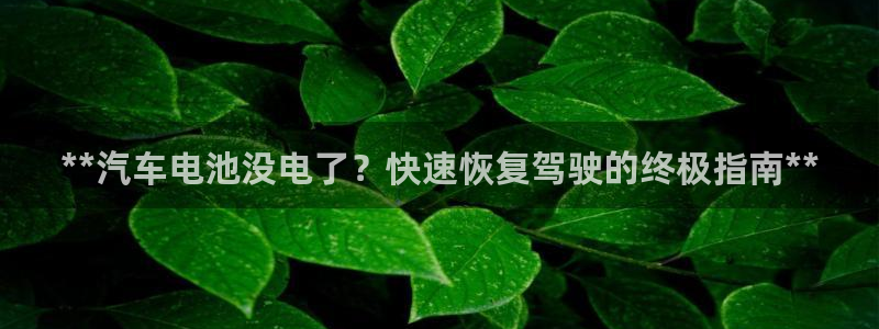优发国际官网网站：**汽车电池没电了？快速恢复驾驶的终极指南**