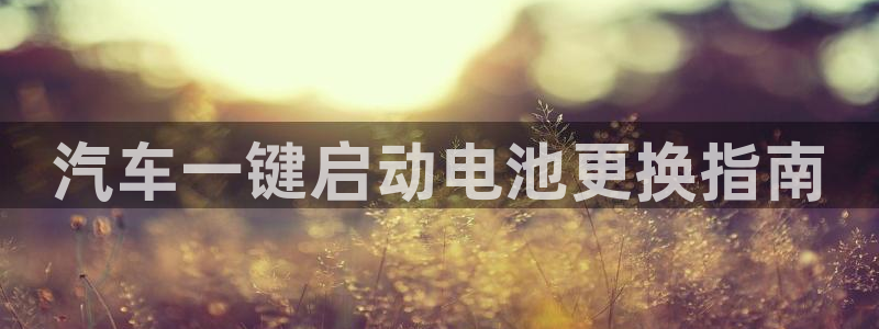 优发国际登录首页：汽车一键启动电池更换指南