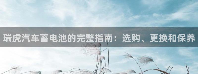 优发国际多少钱