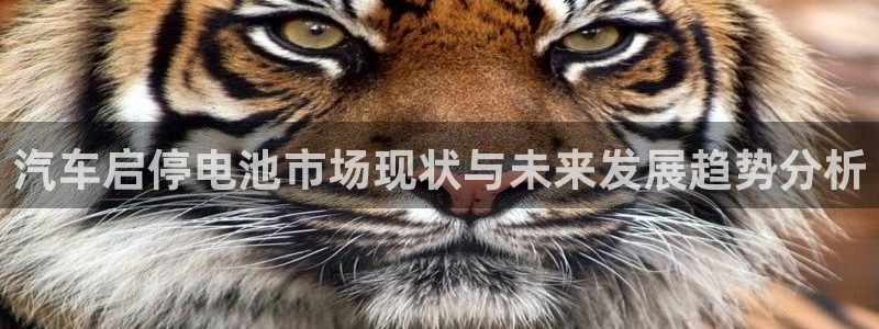 优发国际网官网17w80是什么：汽车启停电池市场现状与未来发展趋势分析