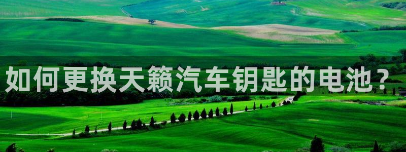 优发国际官方网手机版app：如何更换天籁汽车钥匙的电池？