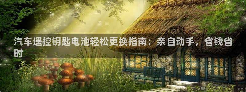 优发国际官网下载手机版：汽车遥控钥匙电池轻松更换指南：亲自动手，省钱省
时