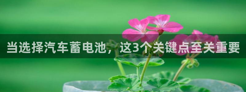 优发国际平台APP：当选择汽车蓄电池，这3个关键点至关重要