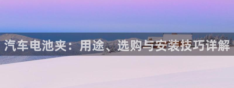 优发国际手机登录下载安装官网：汽车电池夹：用途、选购与安装技巧详解