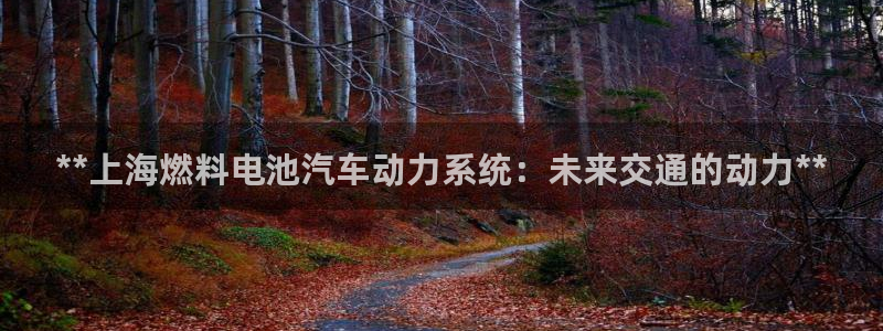 优发国际网官网17k8：**上海燃料电池汽车动力系统：未来交通的动力**