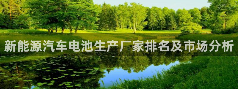 优发国际平台APP：新能源汽车电池生产厂家排名及市场分析