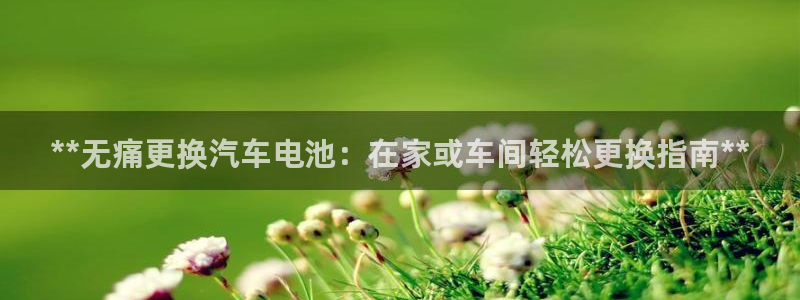 优发国际官网网站首页：**无痛更换汽车电池：在家或车间轻松更换指南**