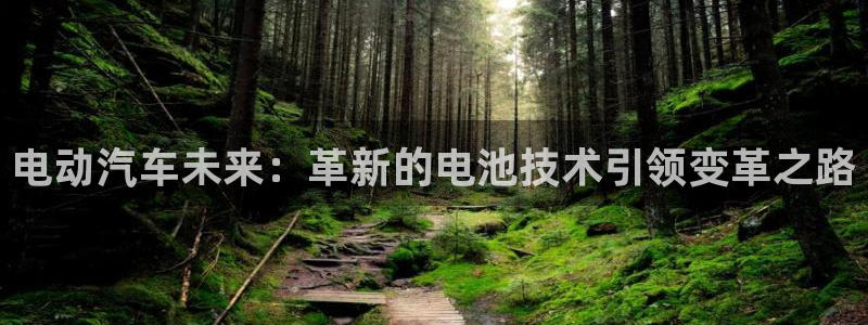 优发国际网站多少：电动汽车未来：革新的电池技术引领变革之路