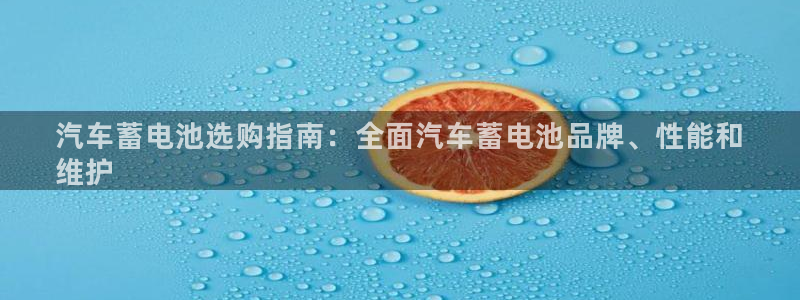 优发国际平台u8是什么：汽车蓄电池选购指南：全面汽车蓄电池品牌、性能和
维护