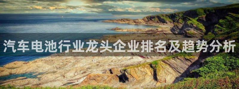 优发国际网站多少：汽车电池行业龙头企业排名及趋势分析