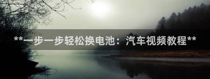 优发国际首页app：**一步一步轻松换电池：汽车视频教程**