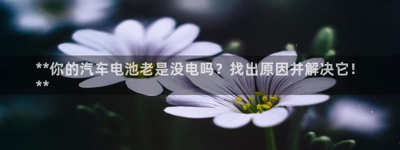 优发国际这个平台怎么样知乎：**你的汽车电池老是没电吗？找出原因并解决它！
**