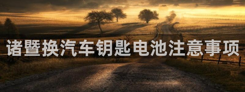 优发国际集团股份有限公司招聘：诸暨换汽车钥匙电池注意事项