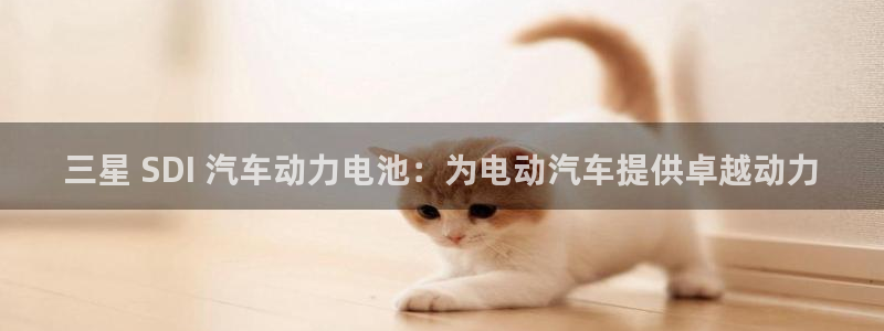 优发国际手机版下载安装：三星 SDI 汽车动力电池：为电动汽车提供卓越动力