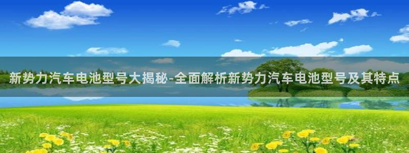 优发国际手机版网站入口：新势力汽车电池型号大揭秘-全面解析新势力汽车电池型号及其特点
