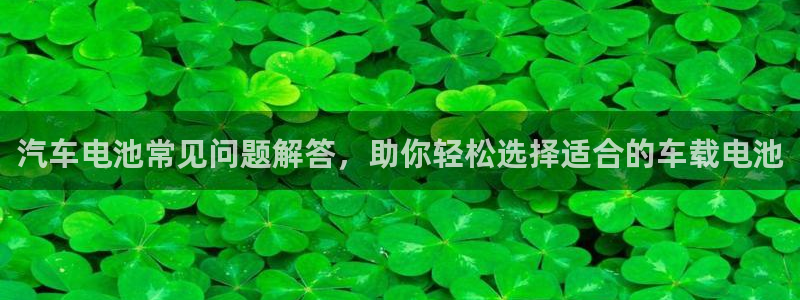 优发国际app官网下载安装：汽车电池常见