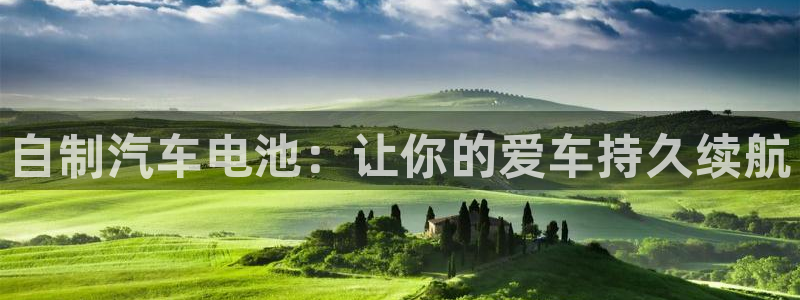 优发国际平台u8是什么公司：自制汽车电池