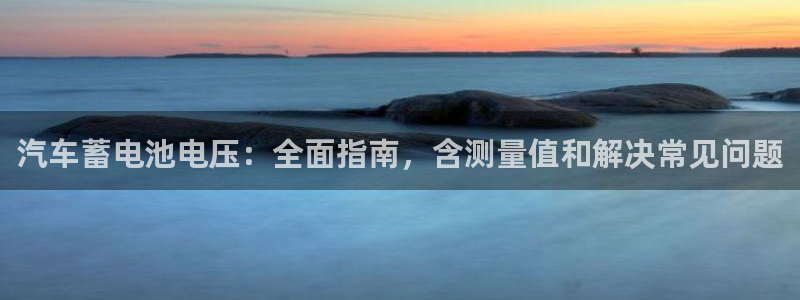 优发国际不出款怎么办：汽车蓄电池电压：全面指南，含测量值和解决常见问题