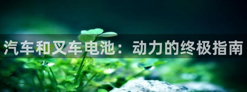 优发国际VIP网址：汽车和叉车电池：动力的终极指南