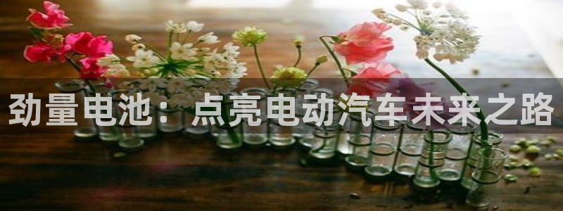 优发娱乐官网地址：劲量电池：点亮电动汽车未来之路
