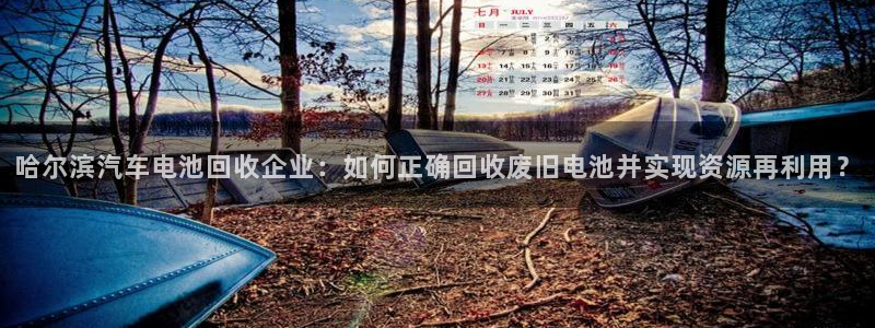 优发国际app官网下载安装手机版：哈尔滨汽车电池回收企业：如何正确回收废旧电池并实现资源再利用？