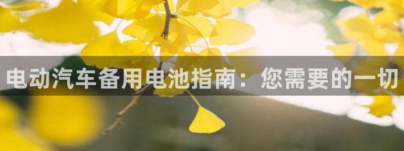 优发国际下载安装app：电动汽车备用电池指南：您需要的一切